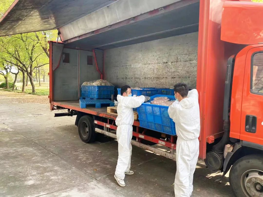專業(yè)人員分裝、運送物資